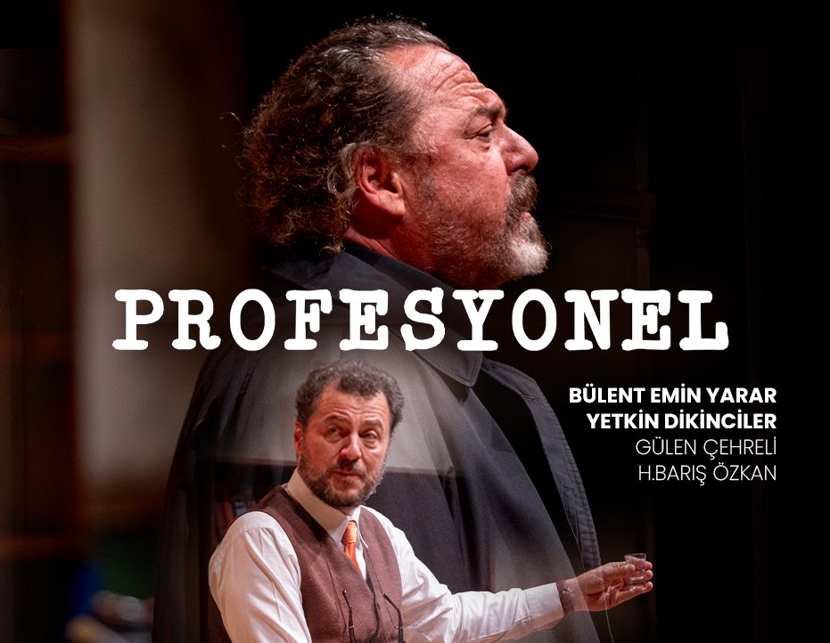 PROFESYONEL